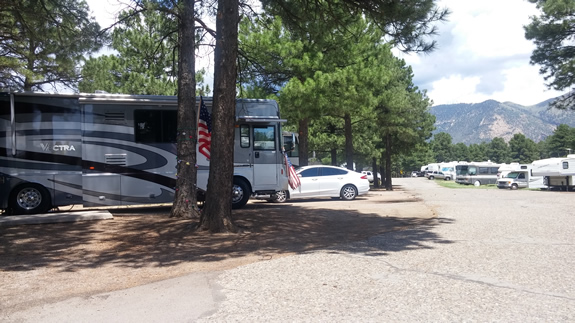 Mt. Elden behind the park